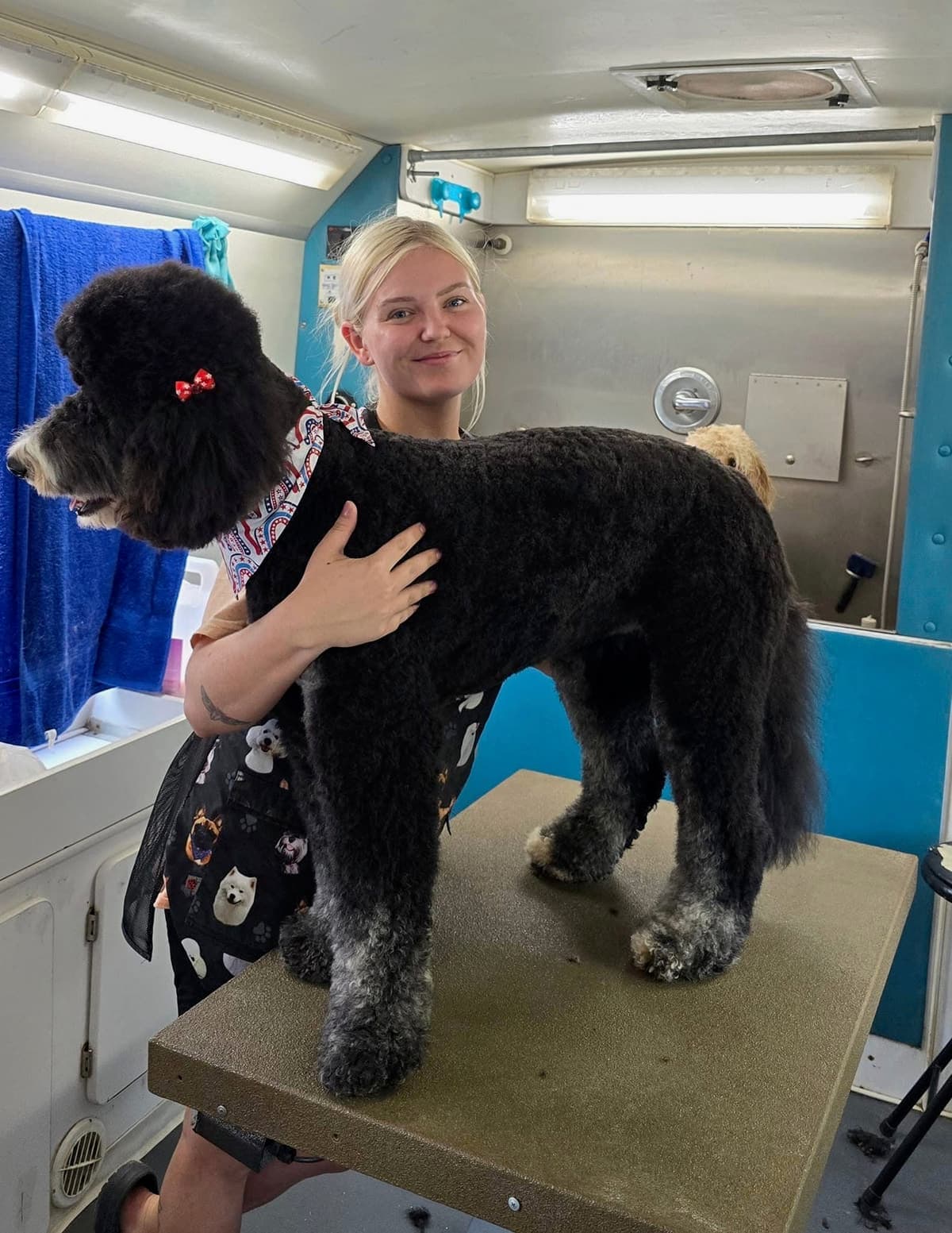 Green Forest grooming at Turquoise Pooch Paw Spa