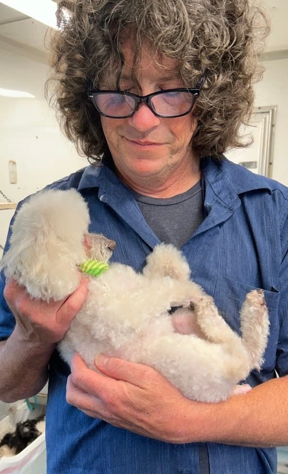 Jamie, team member at The Turquoise Pooch Paw Spa